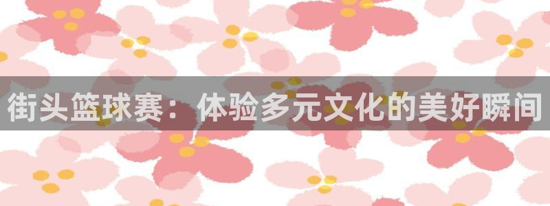 街头篮球赛：体验多元文化的美好瞬间